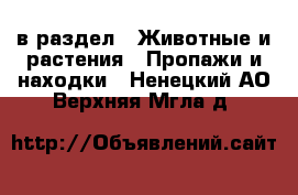  в раздел : Животные и растения » Пропажи и находки . Ненецкий АО,Верхняя Мгла д.